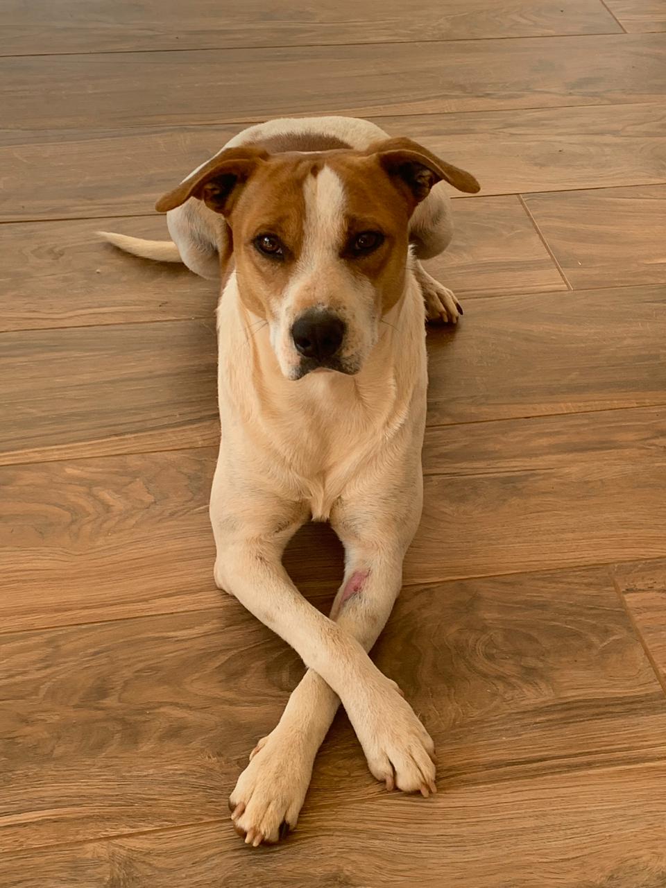 IMG-20190728-WA0002