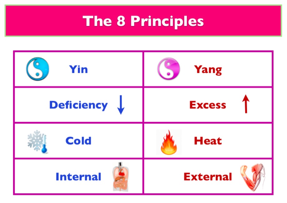 The-8-Principles-in-TCM-1