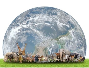 animal-world-planet-earth-on-260nw-284990888
